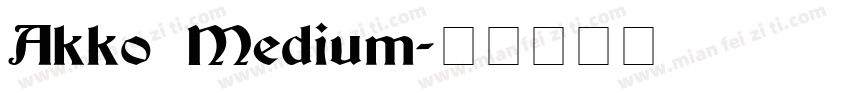 Akko Medium字体转换
